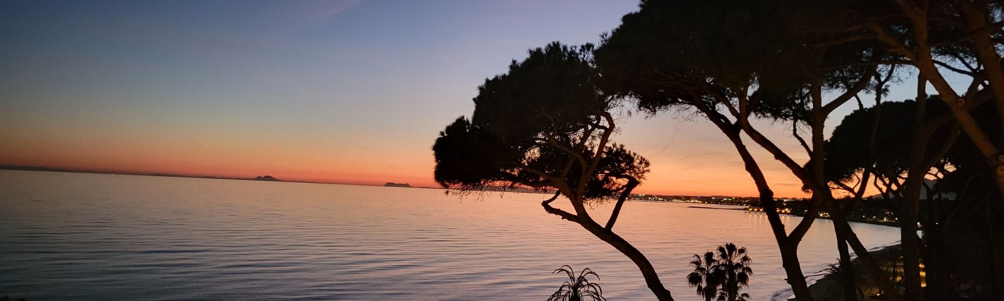 Nous concrétisons votre maison idéale à Marbella.. PATRICIA LAREDO DAYAN en Marbella