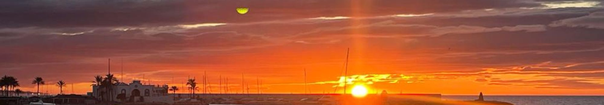 Guía de gastos: Lo que debes saber al comprar en la Costa del Sol.. PATRICIA LAREDO DAYAN en Marbella